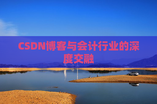 CSDN博客与会计行业的深度交融